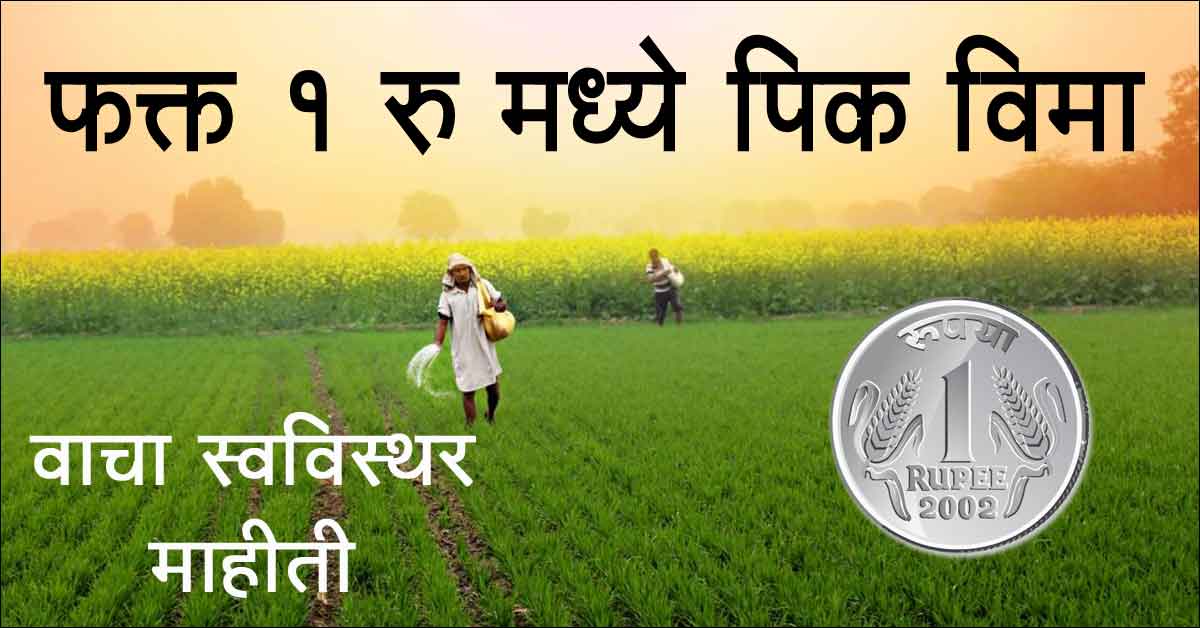 Pik Vima Information